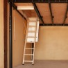 Retractable wooden Ladder