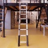 Telescopic aluminium ladder